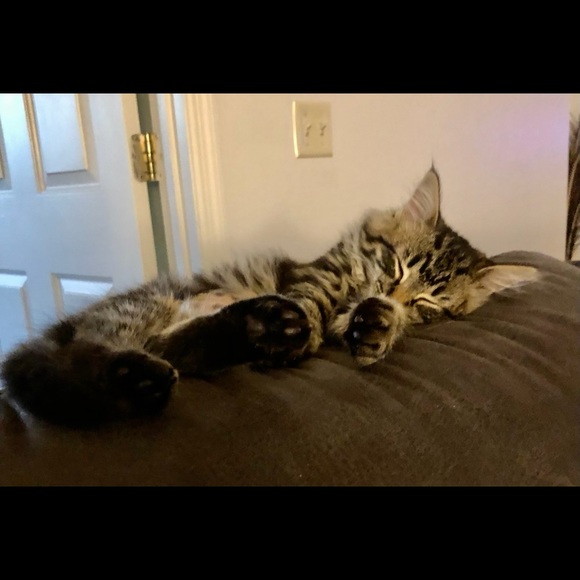 💙🩵 DENIM 🩵 💙 - Picture 7 of 8